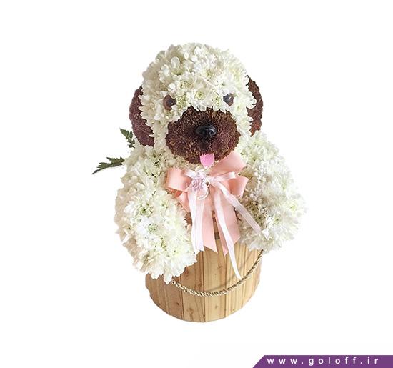 خرید اینترنتی گل طبیعی - عروسک گل آکیوشی - Flower Toy | گل آف